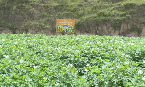 微信图片_20200818074952.jpg